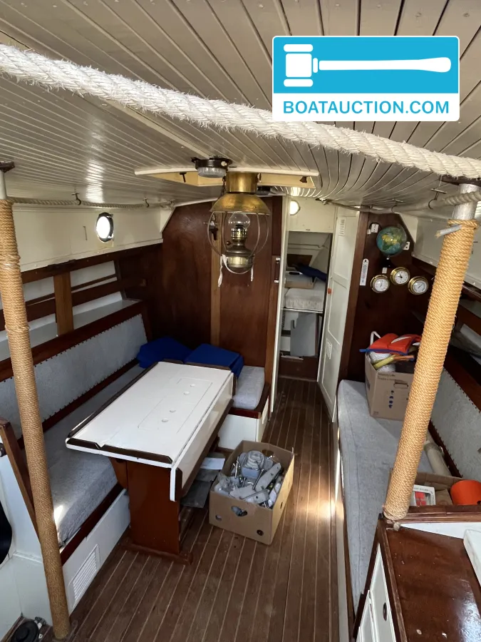 foto: 6 Danish Rose 31