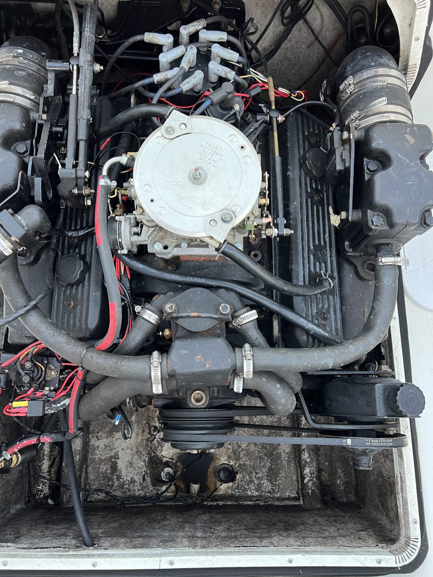 foto: 10 Celebrity Celebrity 2500 Fish Hawk