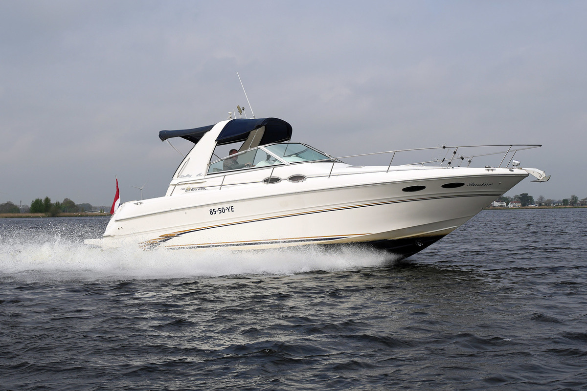 foto: 49 Sea Ray 310 Sundancer