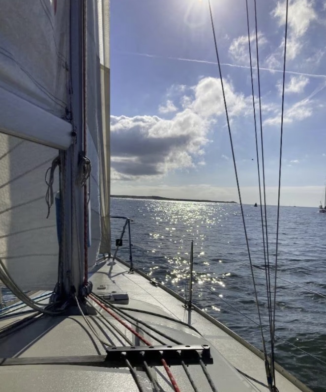 foto: 5 Kolibrie  900