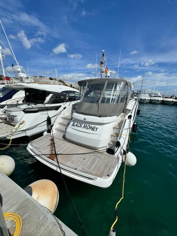 foto: 20 Princess  V50 incl.Williams 325