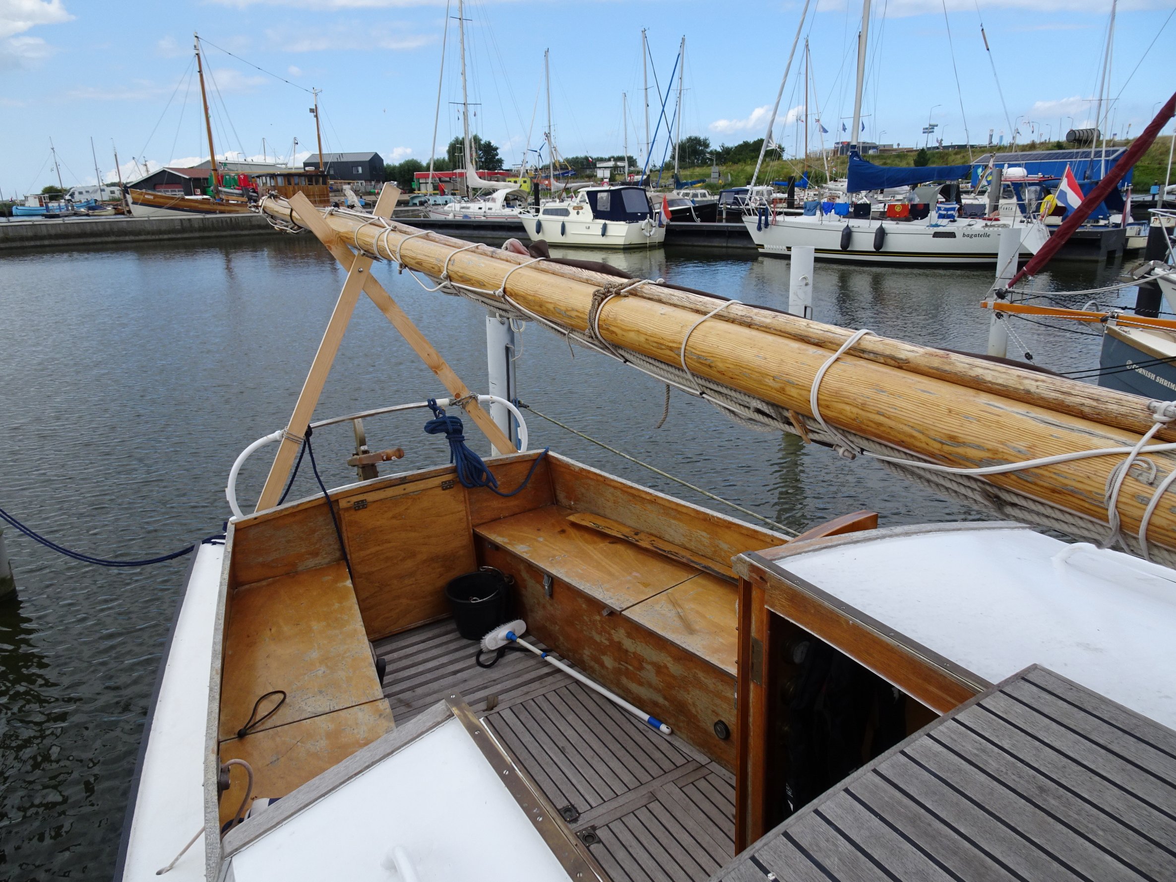 foto: 5 Baarda  Zeegrundel