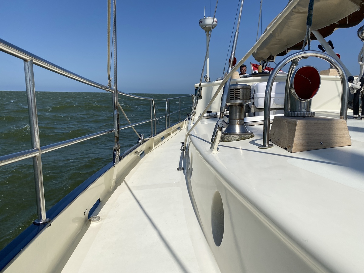 foto: 32 Puffin 42 Alu