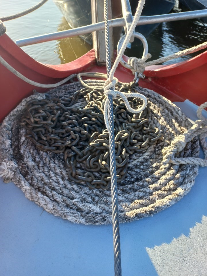 foto: 14 Schokker 9.74