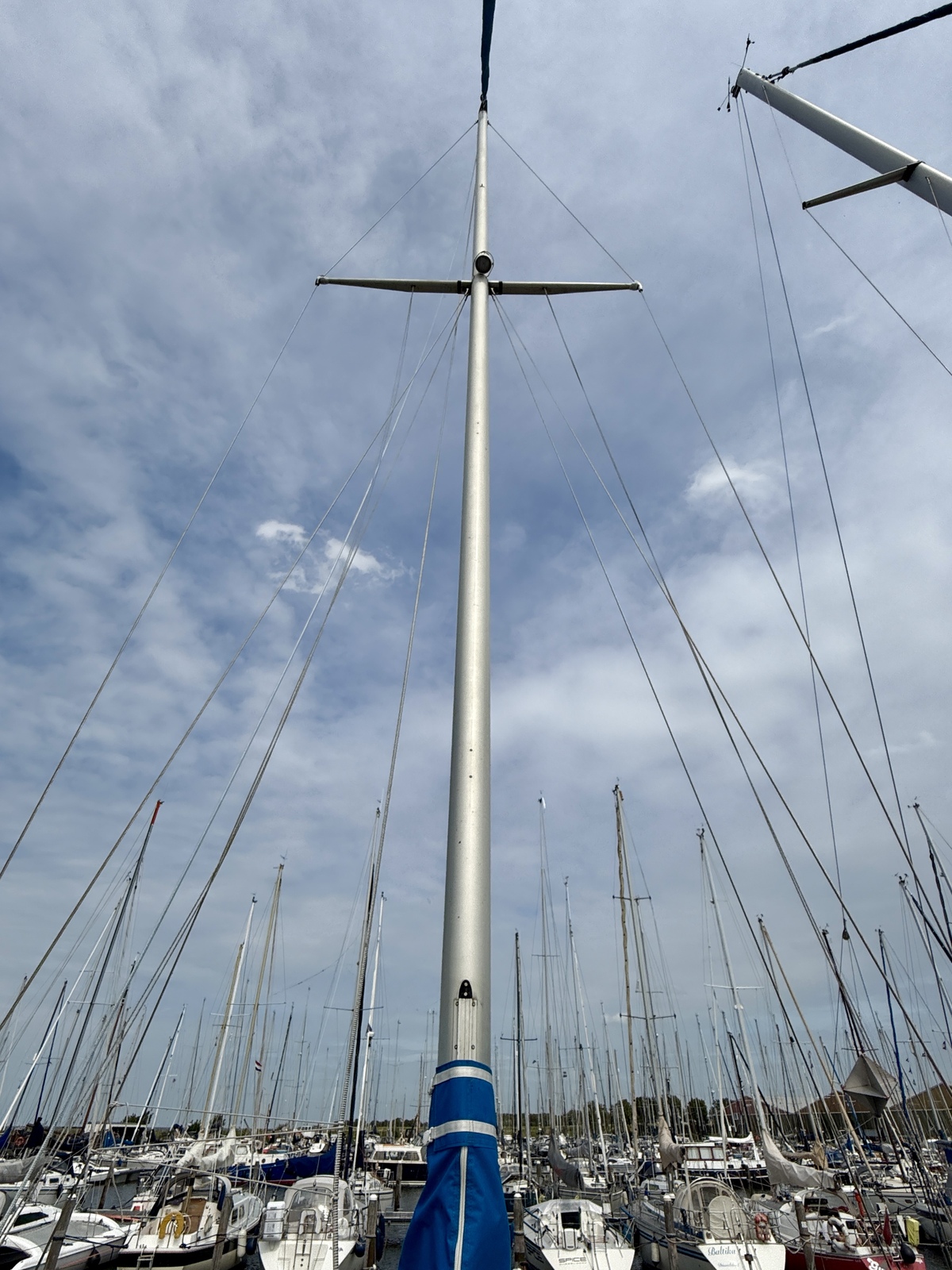 foto: 48 Tradewind 33