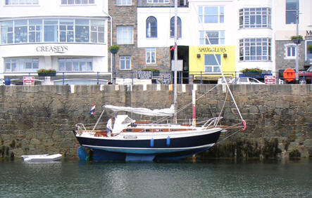Golden Hind 31