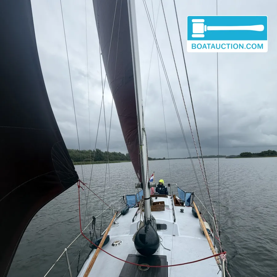 foto: 16 Rossiter Pintail 27