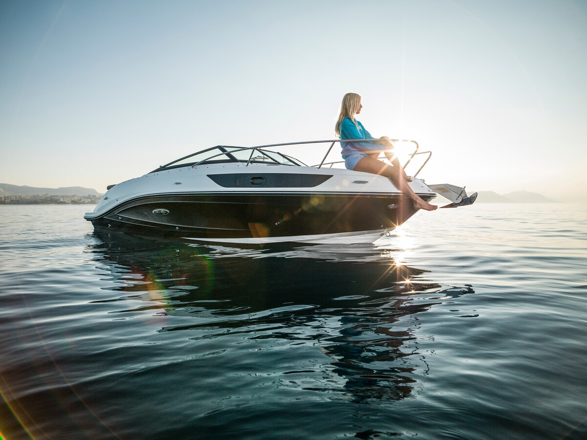 Sea Ray Sun Sport 230