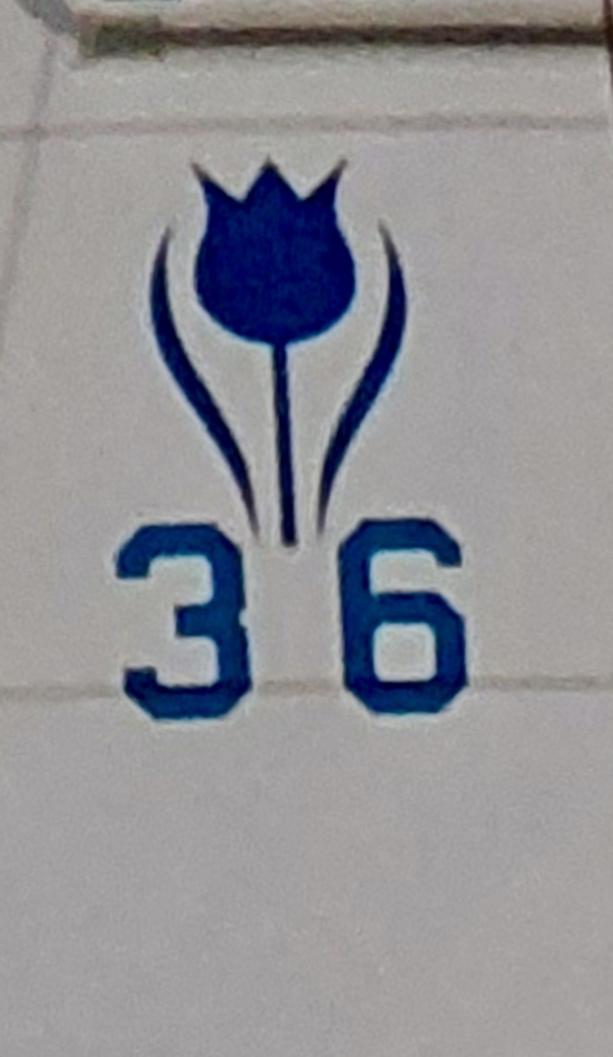 foto: 38 Contest  36S