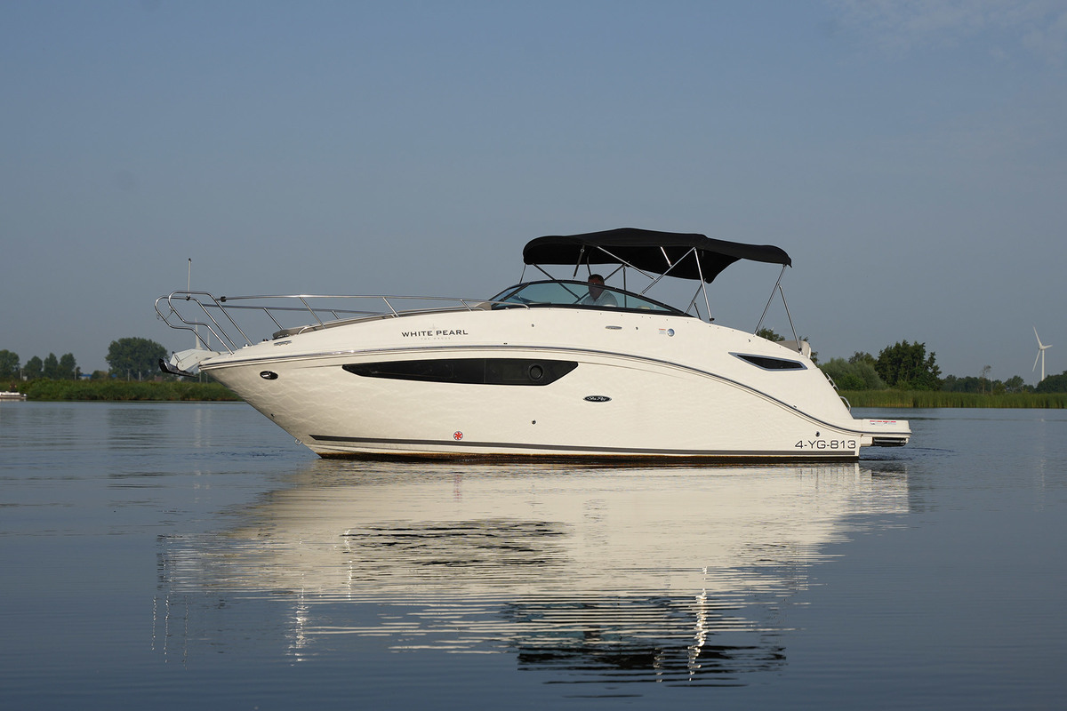 foto: 28 Sea Ray 265
