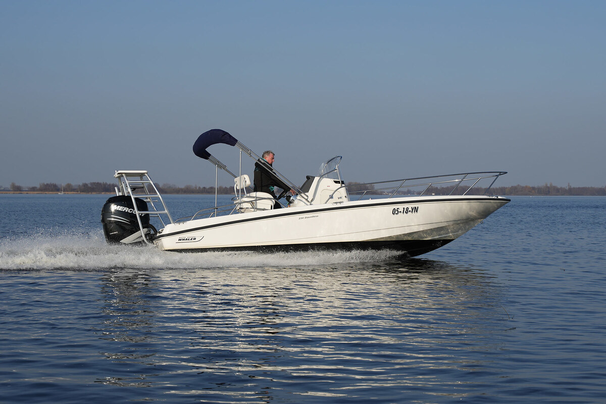 foto: 18 Boston Whaler 230 Dauntless