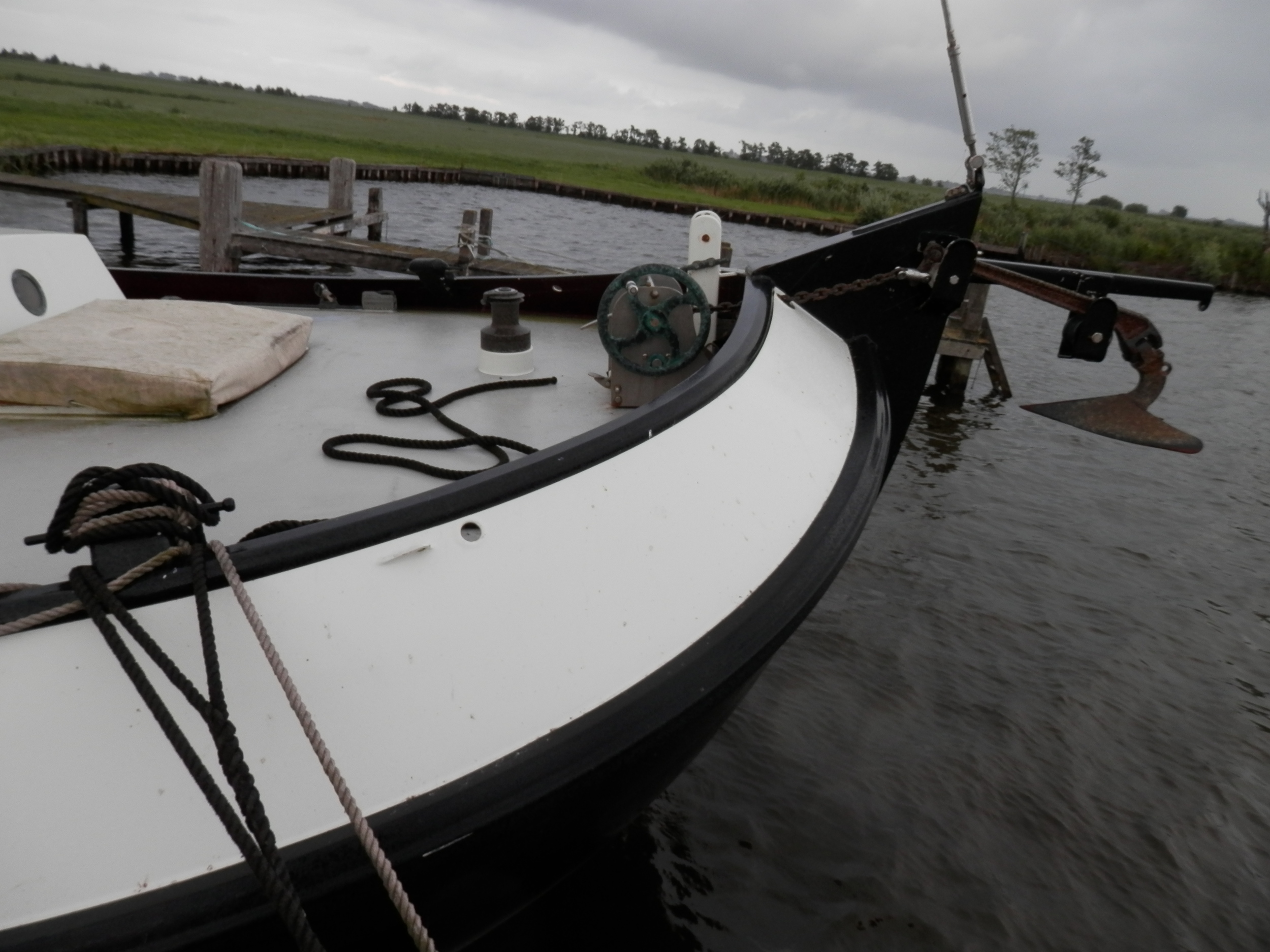 foto: 13 Blom Lemsteraak 12.10 Roefaak