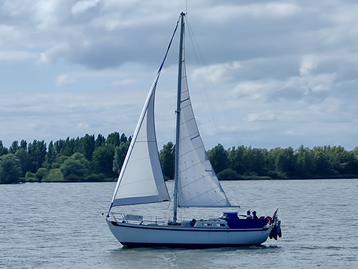 foto: 61 Tradewind 33