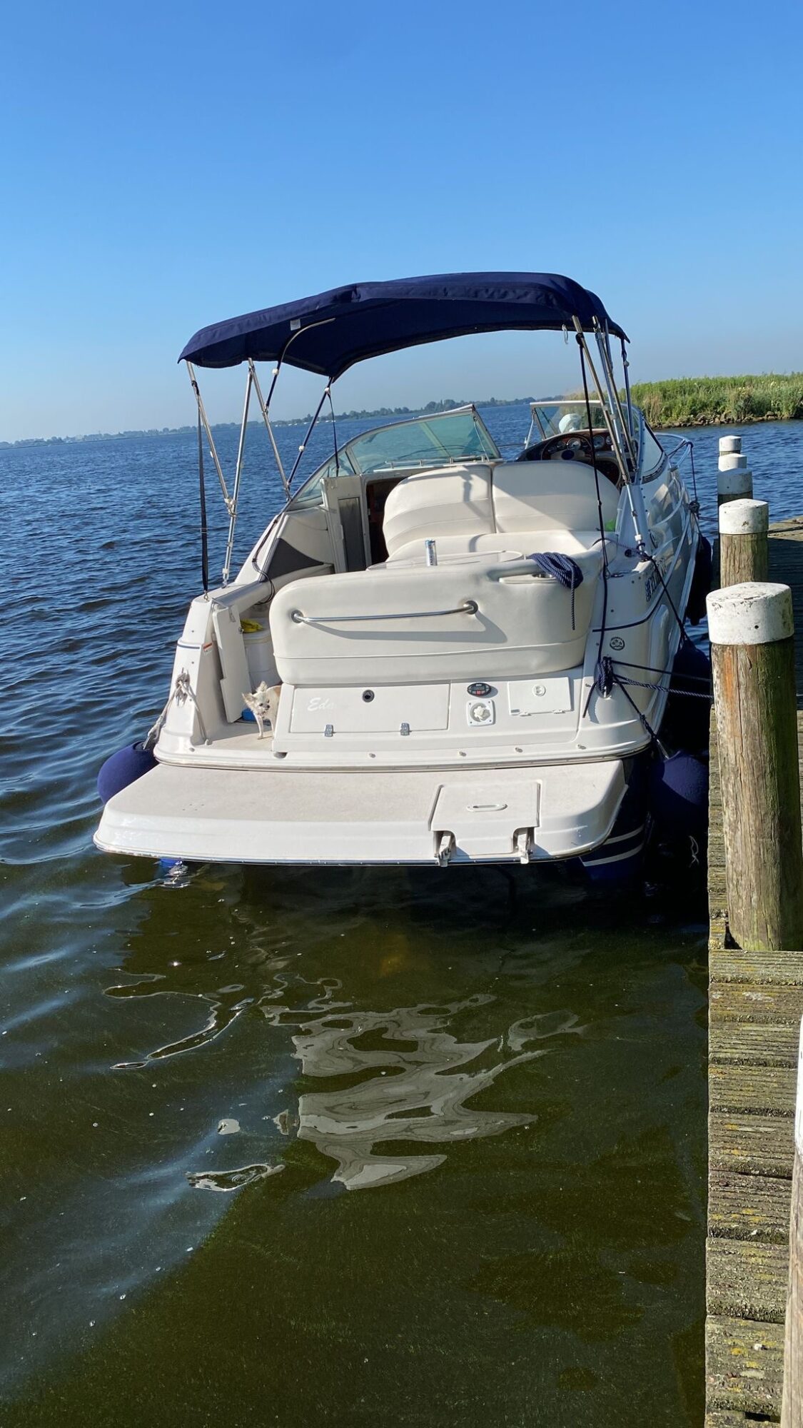 foto: 30 Four Winns Four Winns 248 Vista