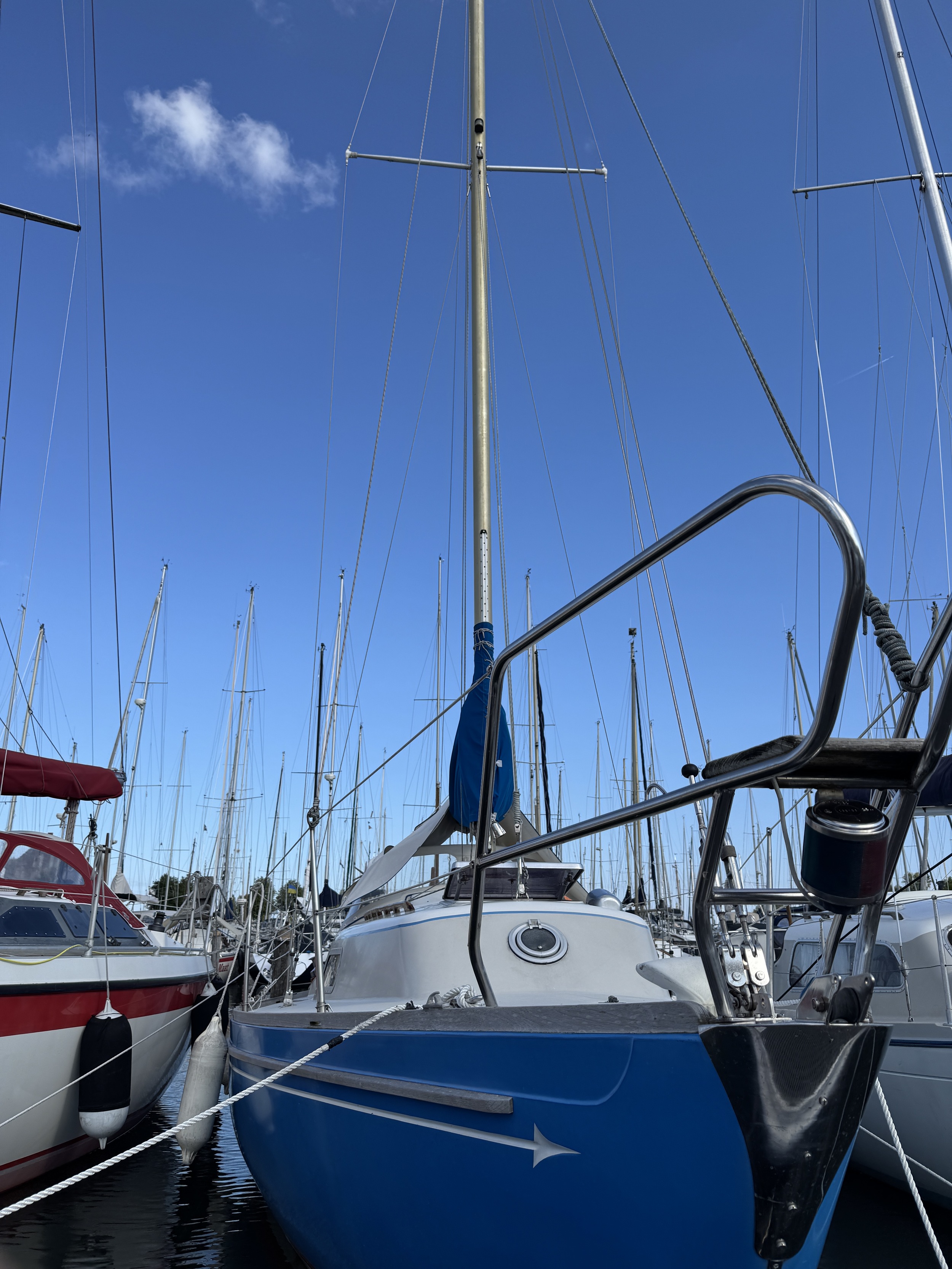 foto: 29 Spirit 28