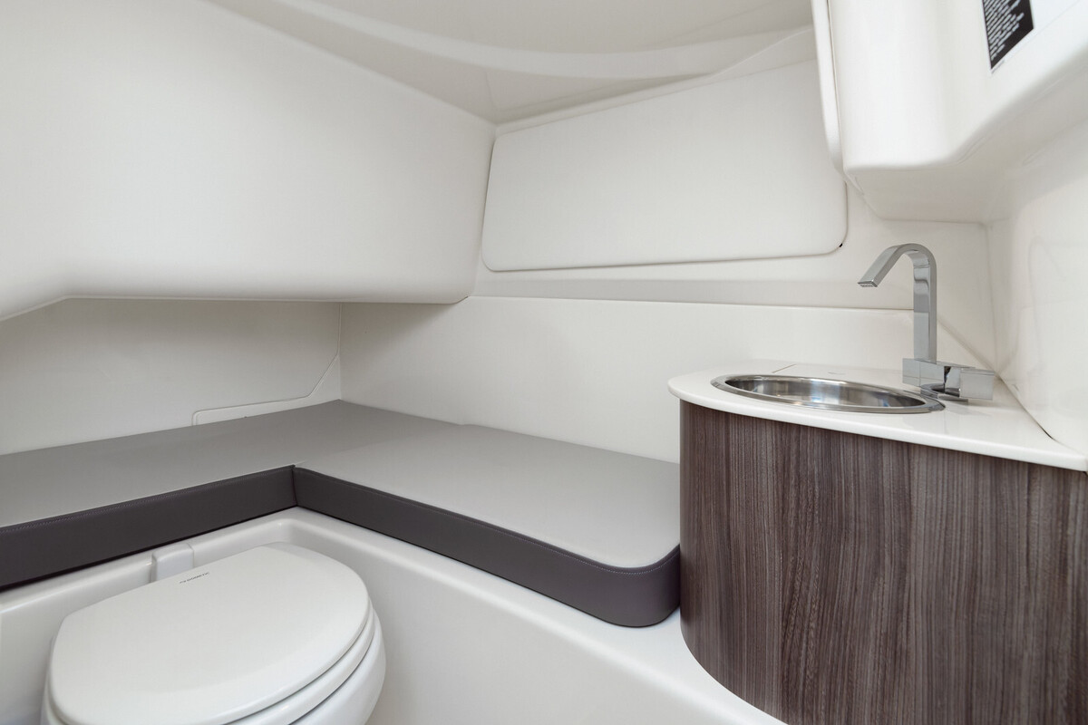 foto: 16 Sea Ray SDX 270 Surf