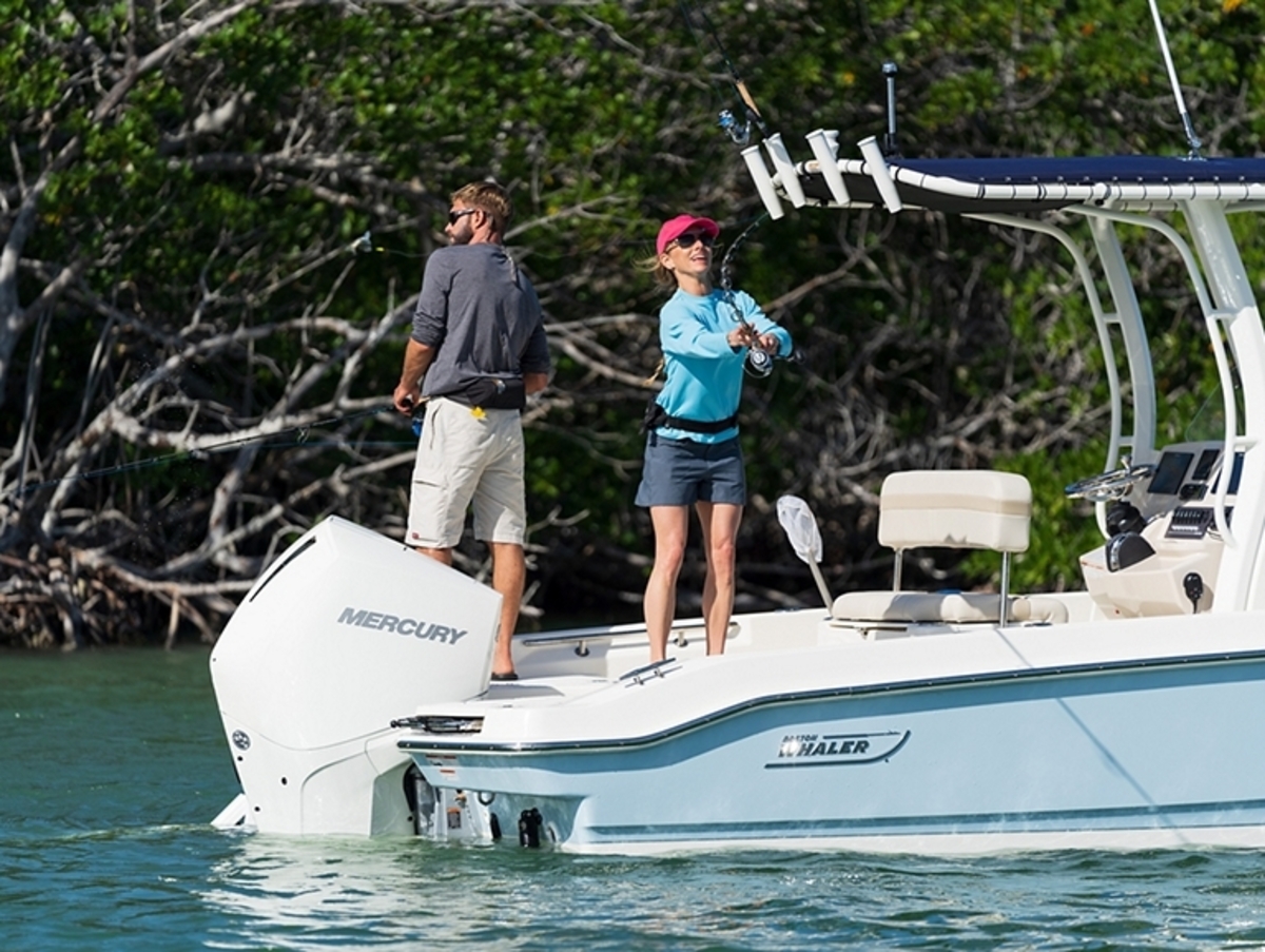 foto: 7 Boston Whaler 220 Dauntless