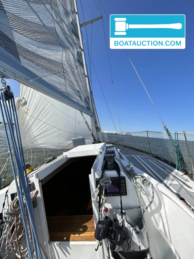 foto: 9 Helmsman 31