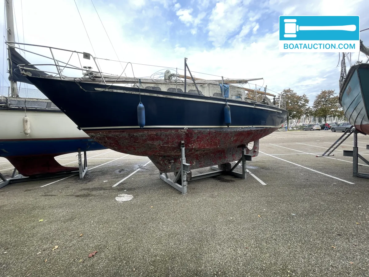 foto: 27 Friesland 860