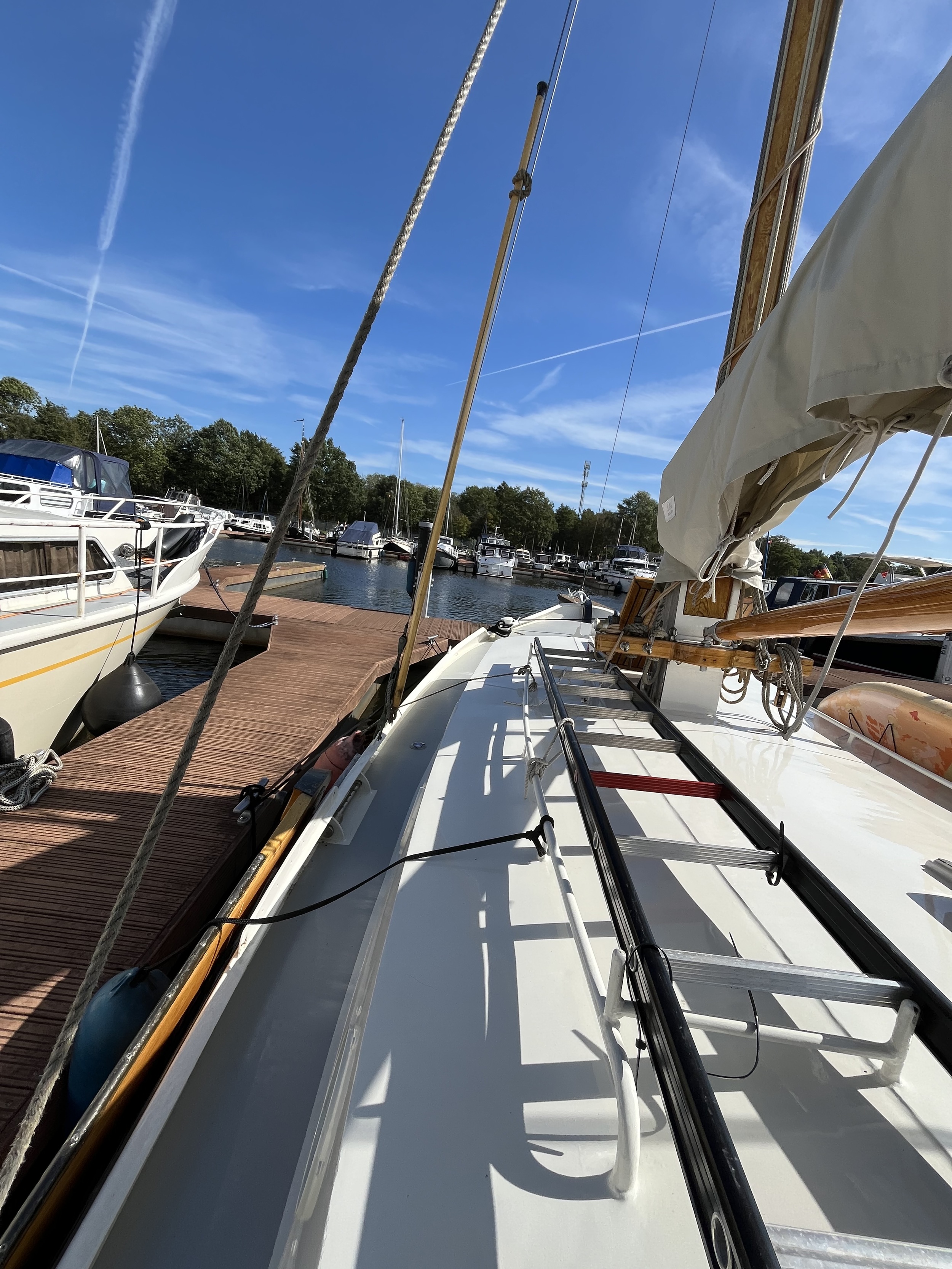 foto: 17 Zeeschouw Boomsma 8.50