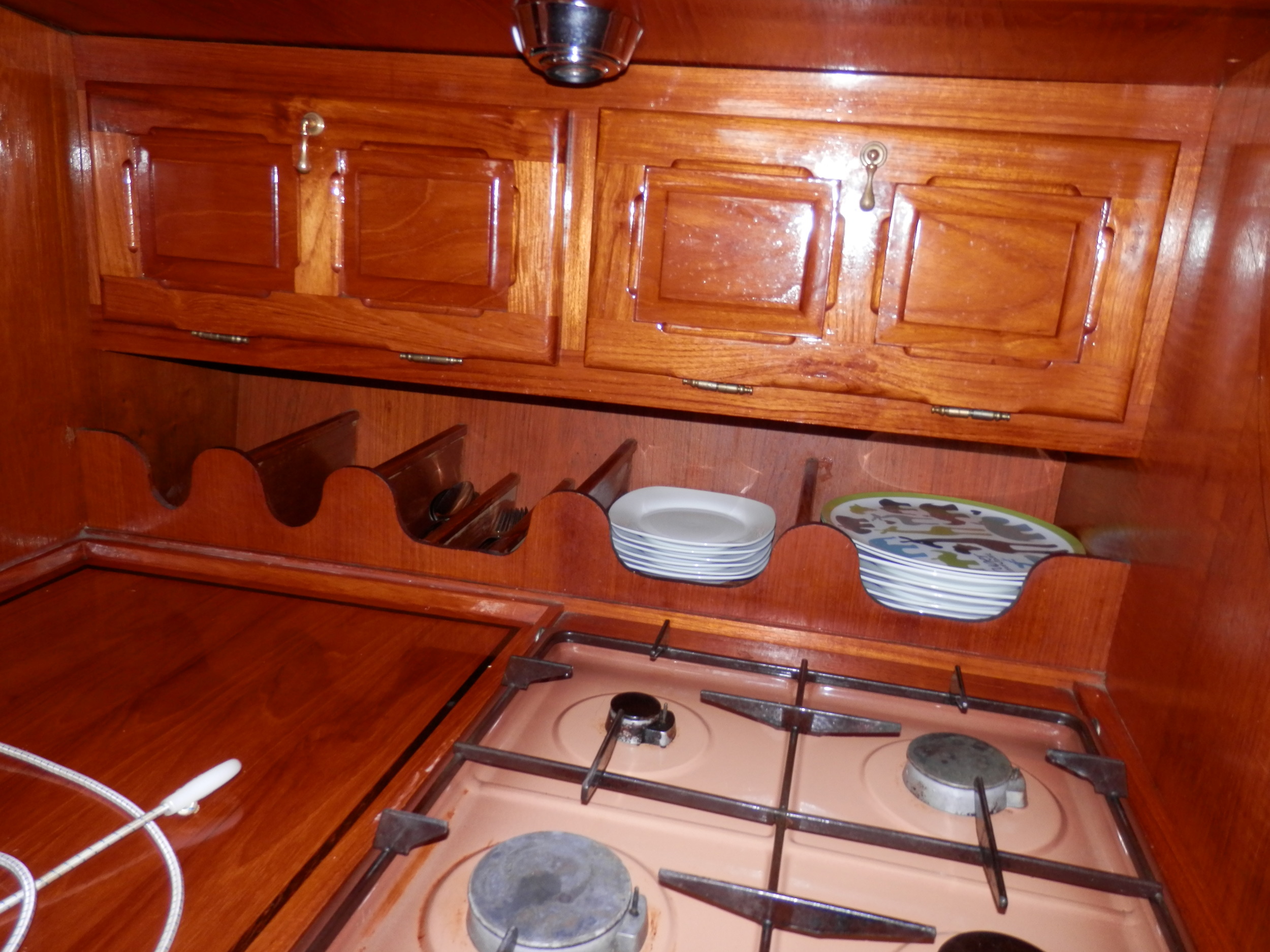 foto: 22 Danish Rose 31