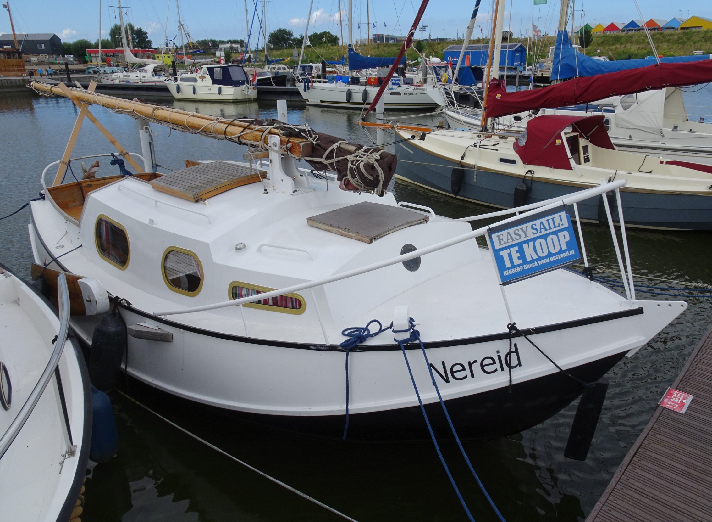 foto: 1 Baarda  Zeegrundel
