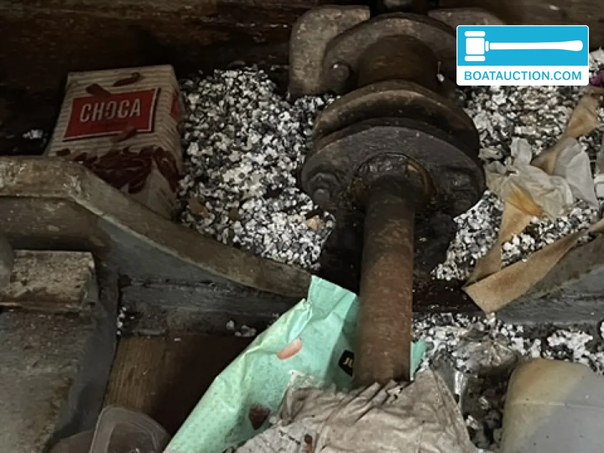 foto: 6 Motorboat 1600