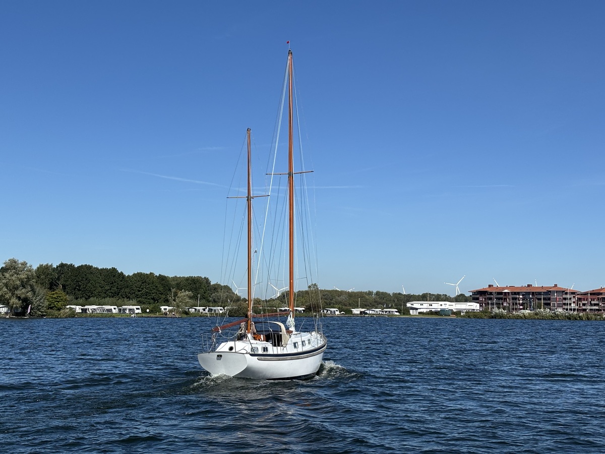 foto: 42 Seadog 30