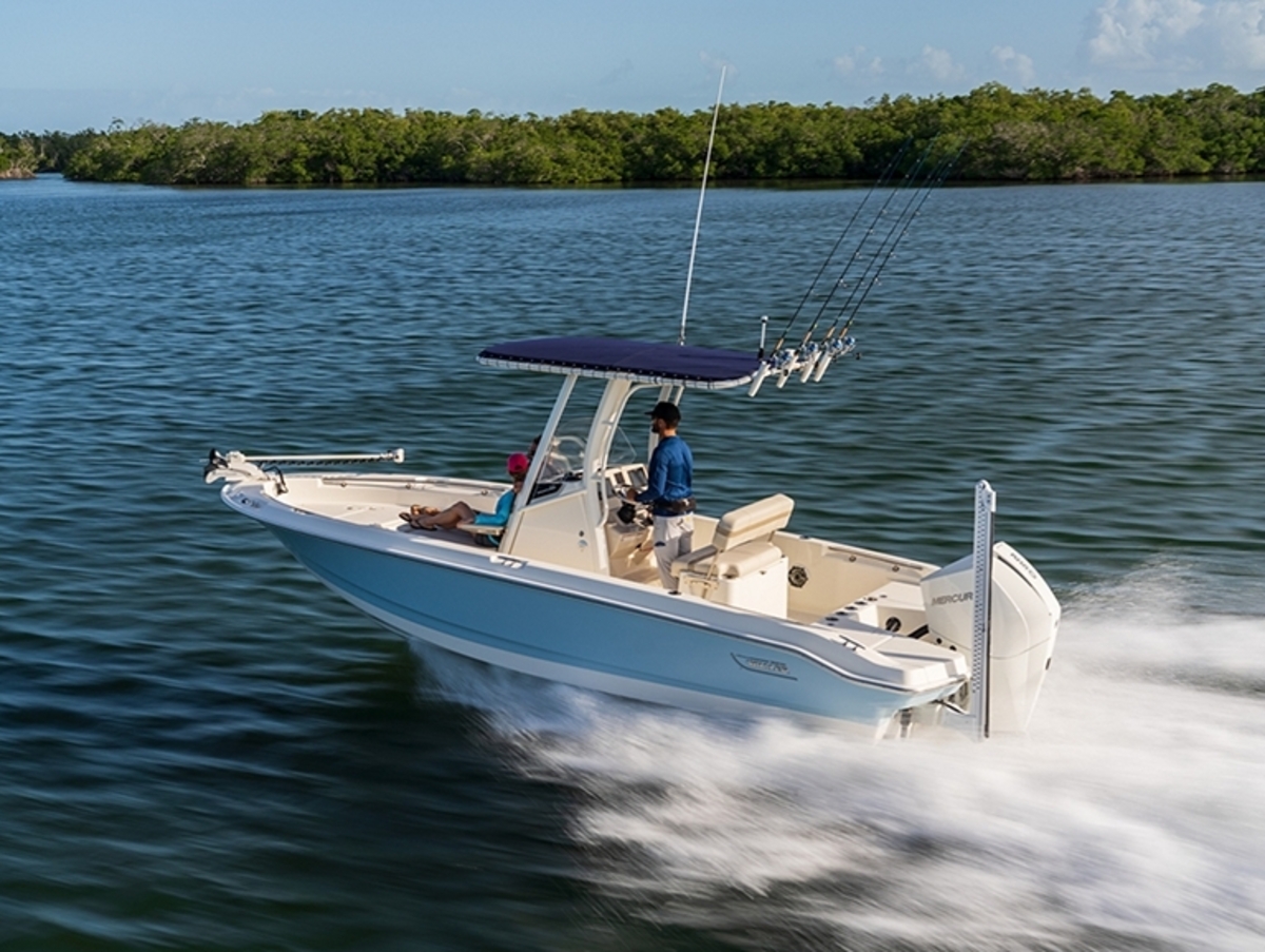 foto: 8 Boston Whaler 220 Dauntless