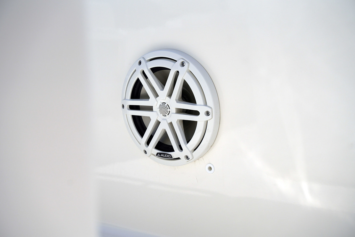 foto: 22 Boston Whaler 250 Dauntless