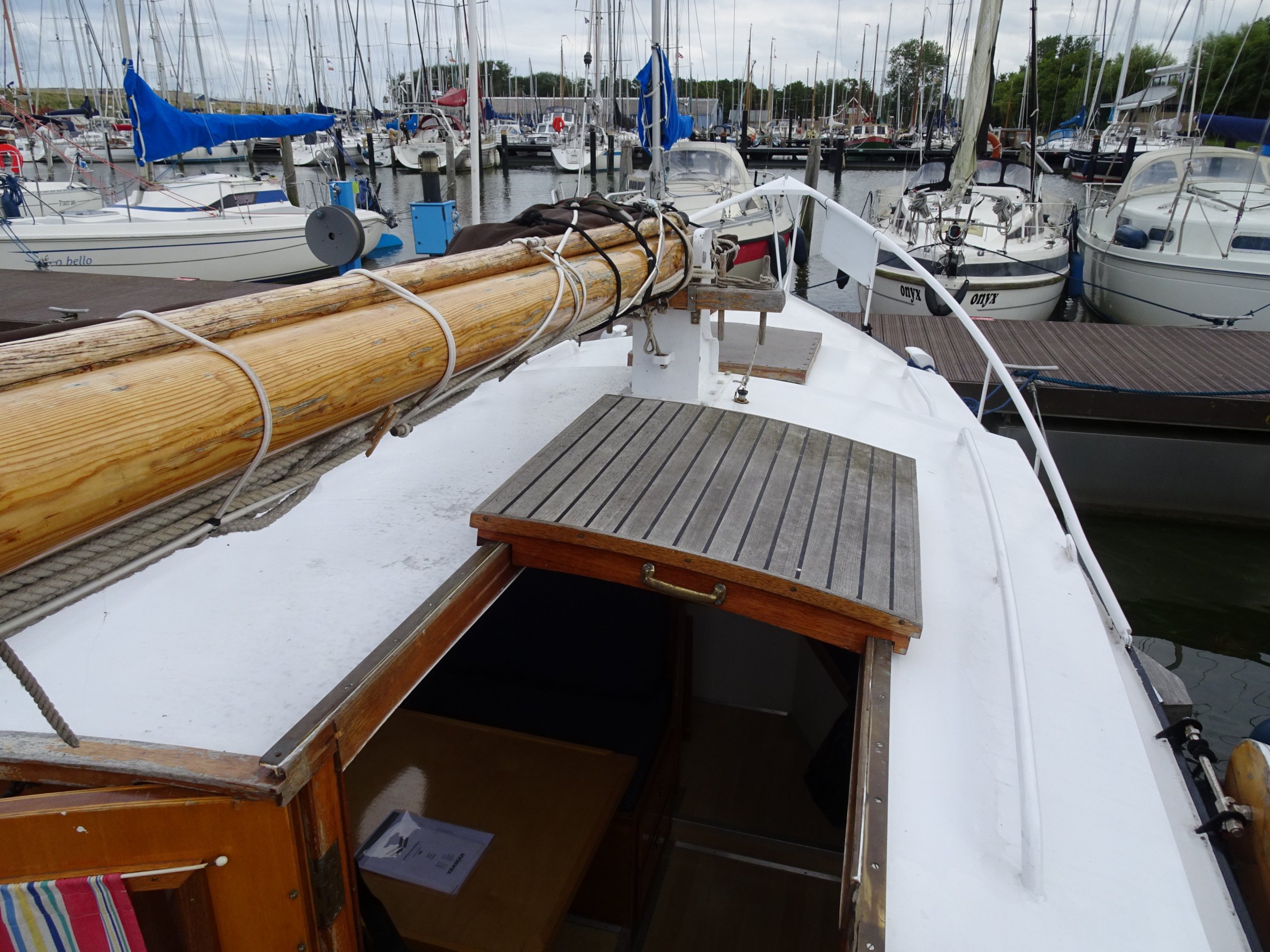 foto: 7 Baarda  Zeegrundel