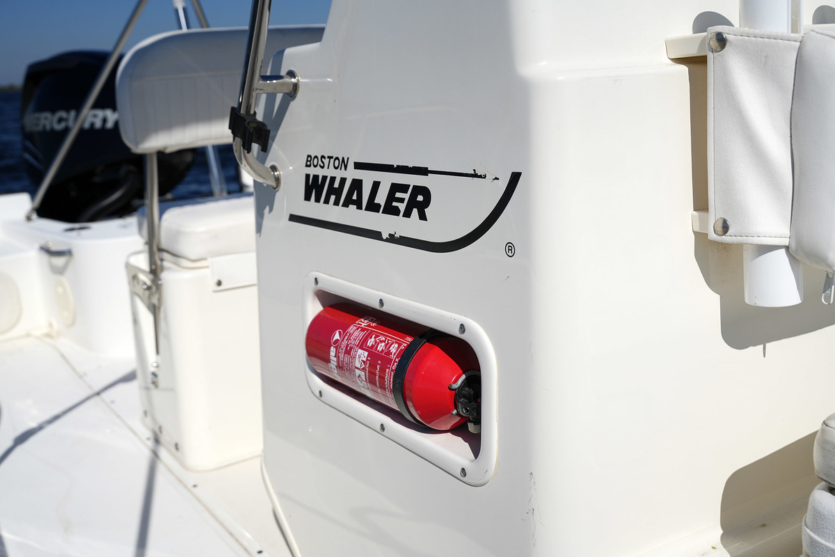 foto: 21 Boston Whaler 190 Montauk