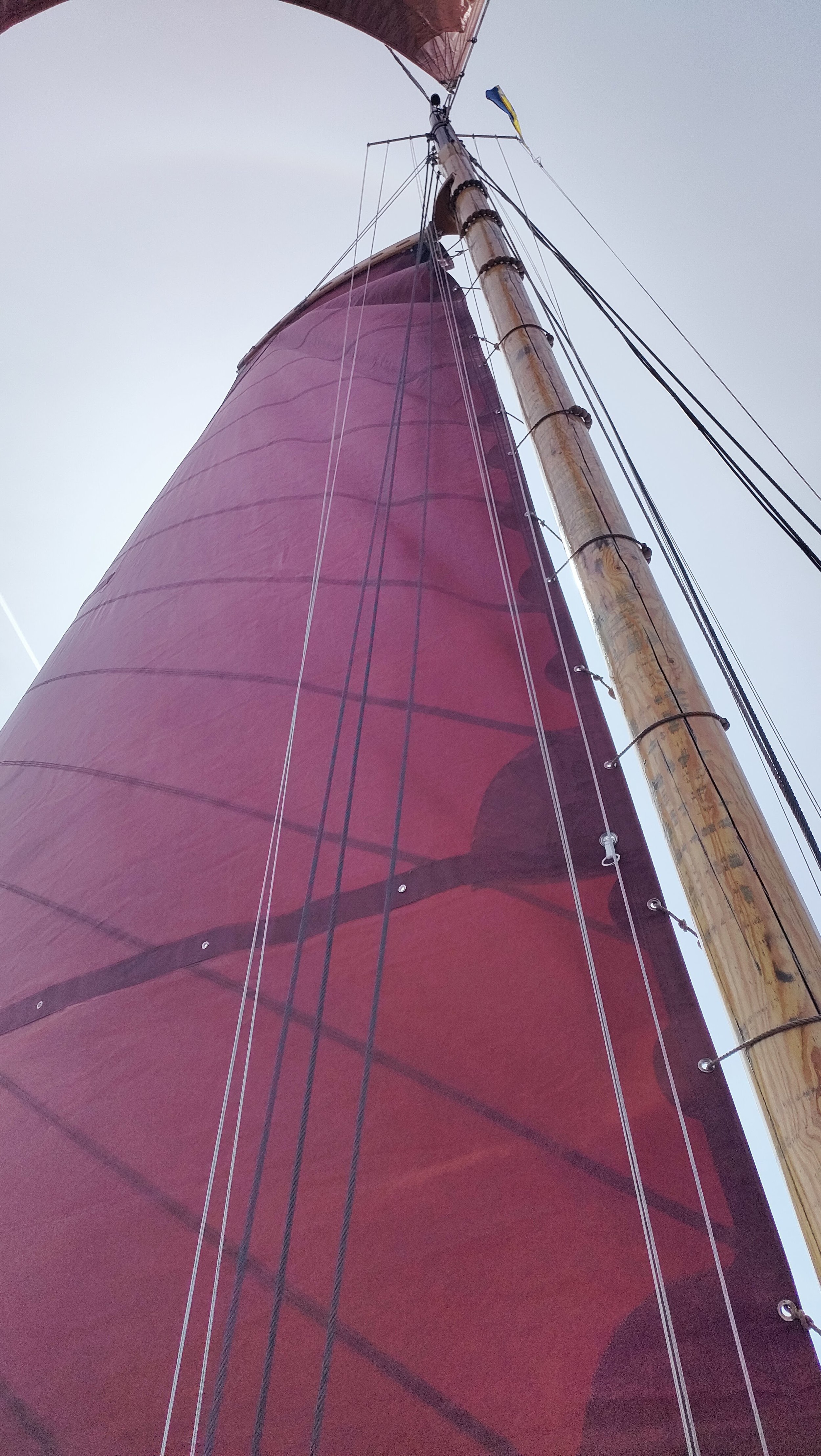 foto: 54 Tjalk 17.95