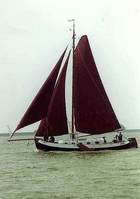 foto: 21 Blom Lemsteraak 12.10 Roefaak