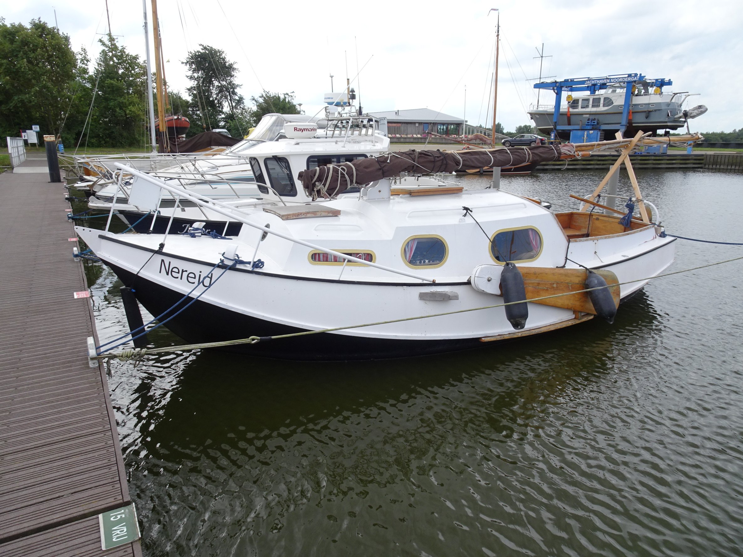foto: 3 Baarda  Zeegrundel