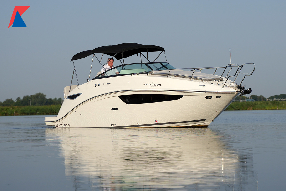 Sea Ray 265