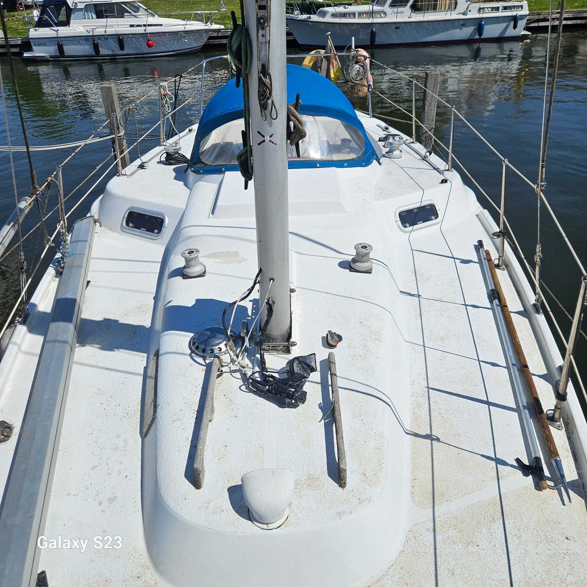 foto: 13 Deerberg Beryll 9.15
