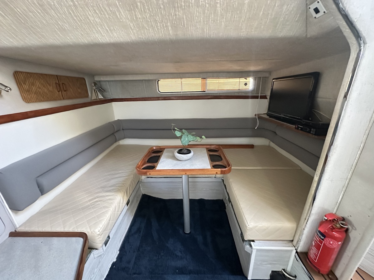 foto: 27 Sea Ray 310 Sundancer 