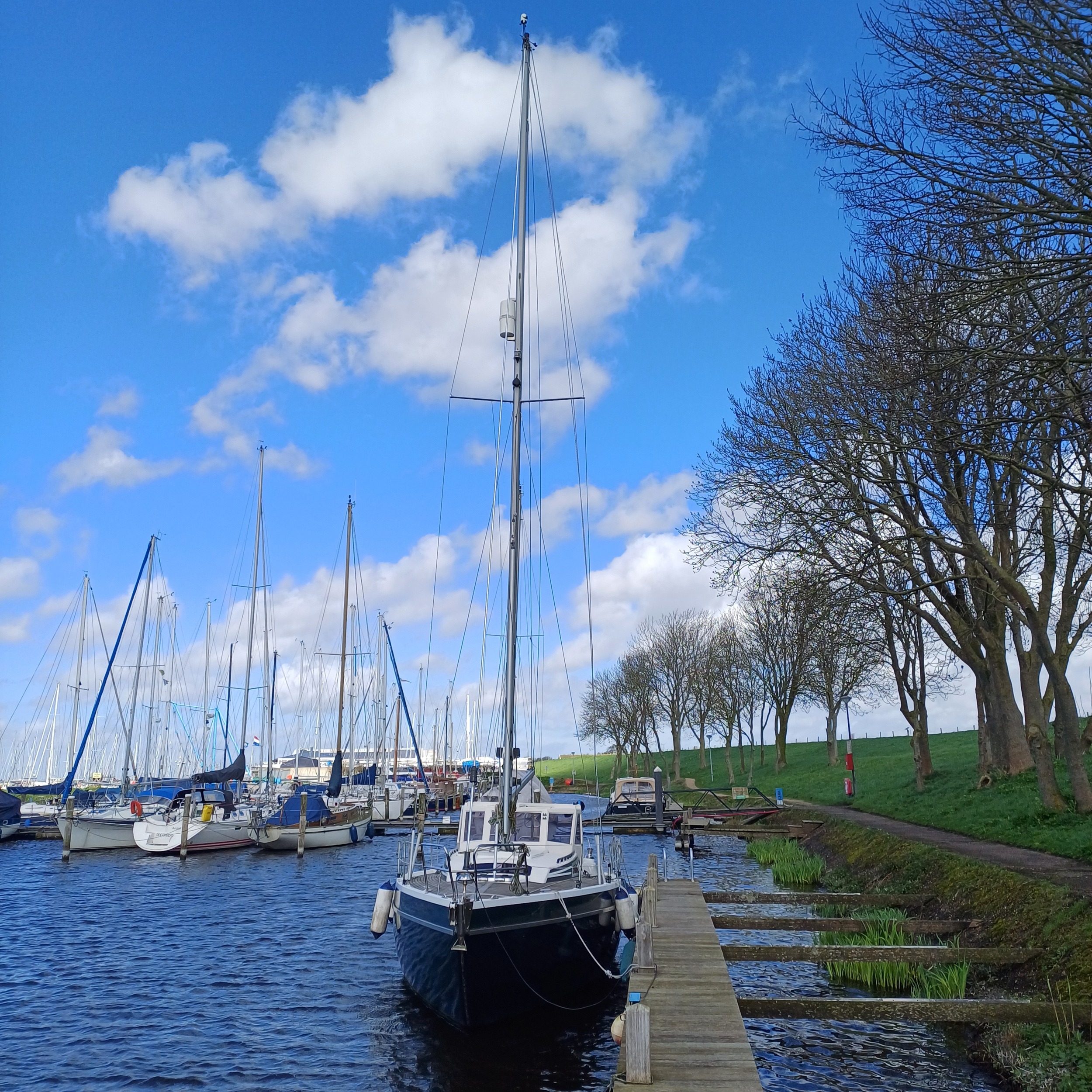 foto: 18 Piewiet 930