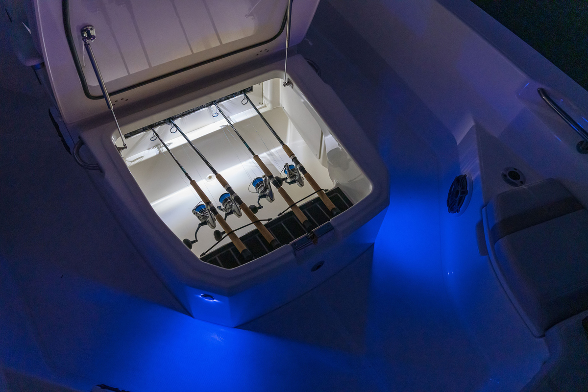 foto: 23 Boston Whaler 250 Dauntless