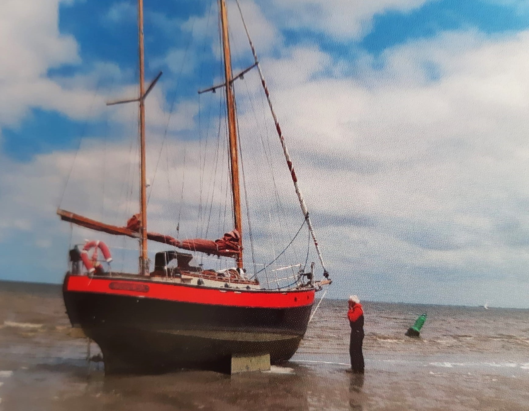 foto: 17 Danish Rose 31