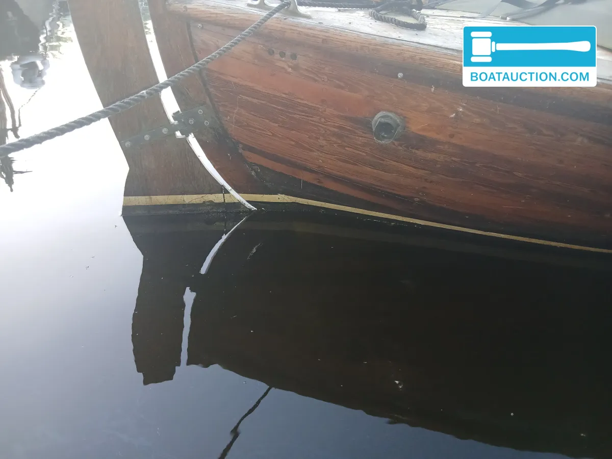 foto: 6 Noorse Spitsgatter 720