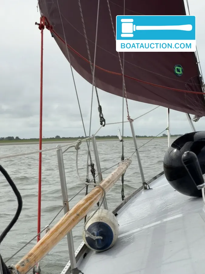 foto: 18 Rossiter Pintail 27