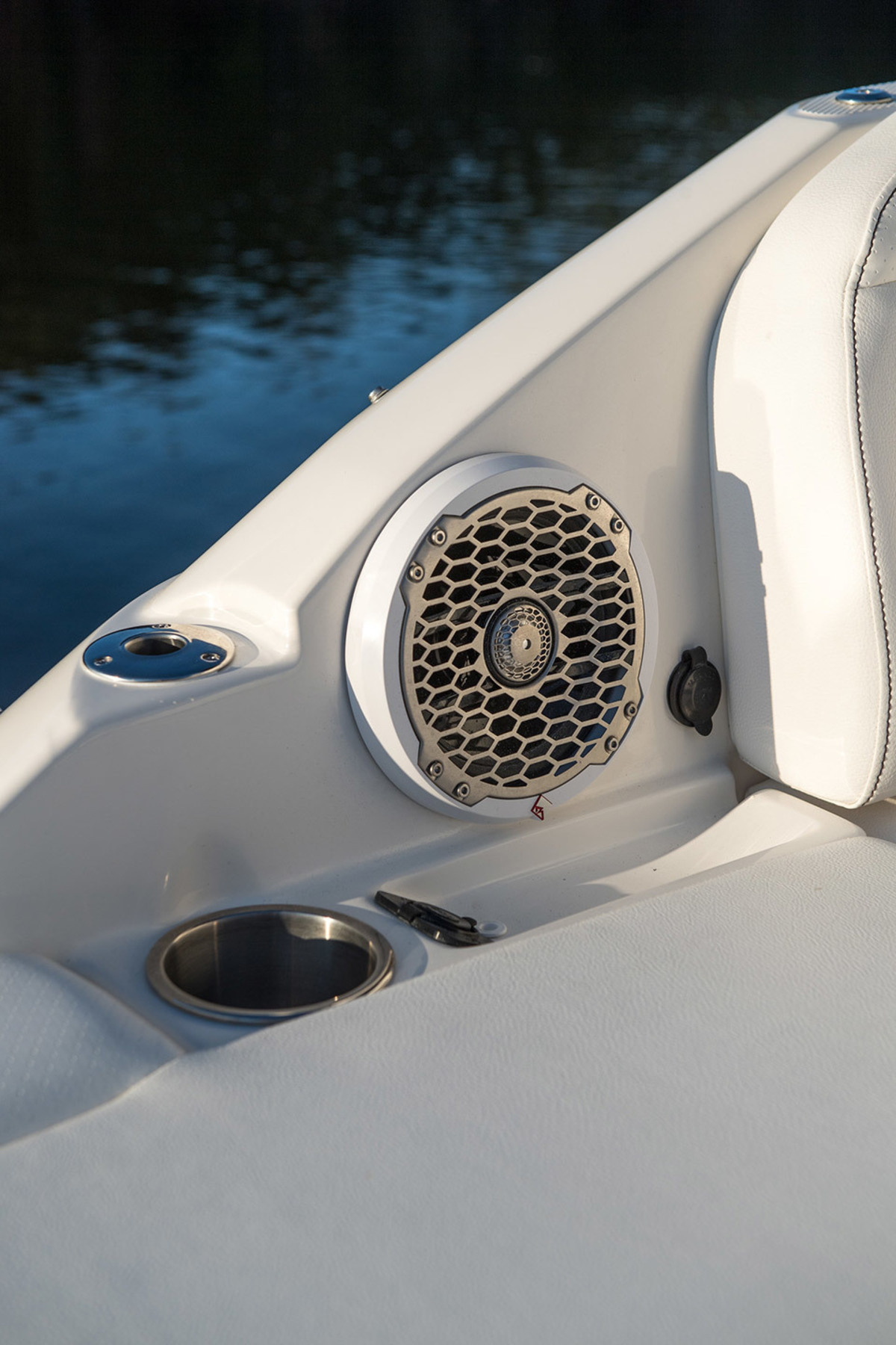 foto: 32 Sea Ray SDX 250 Outboard