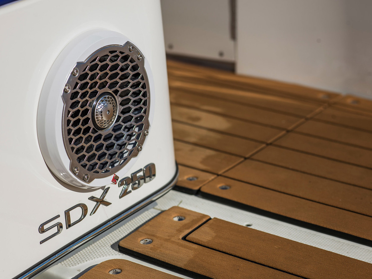 foto: 13 Sea Ray SDX 250 Outboard