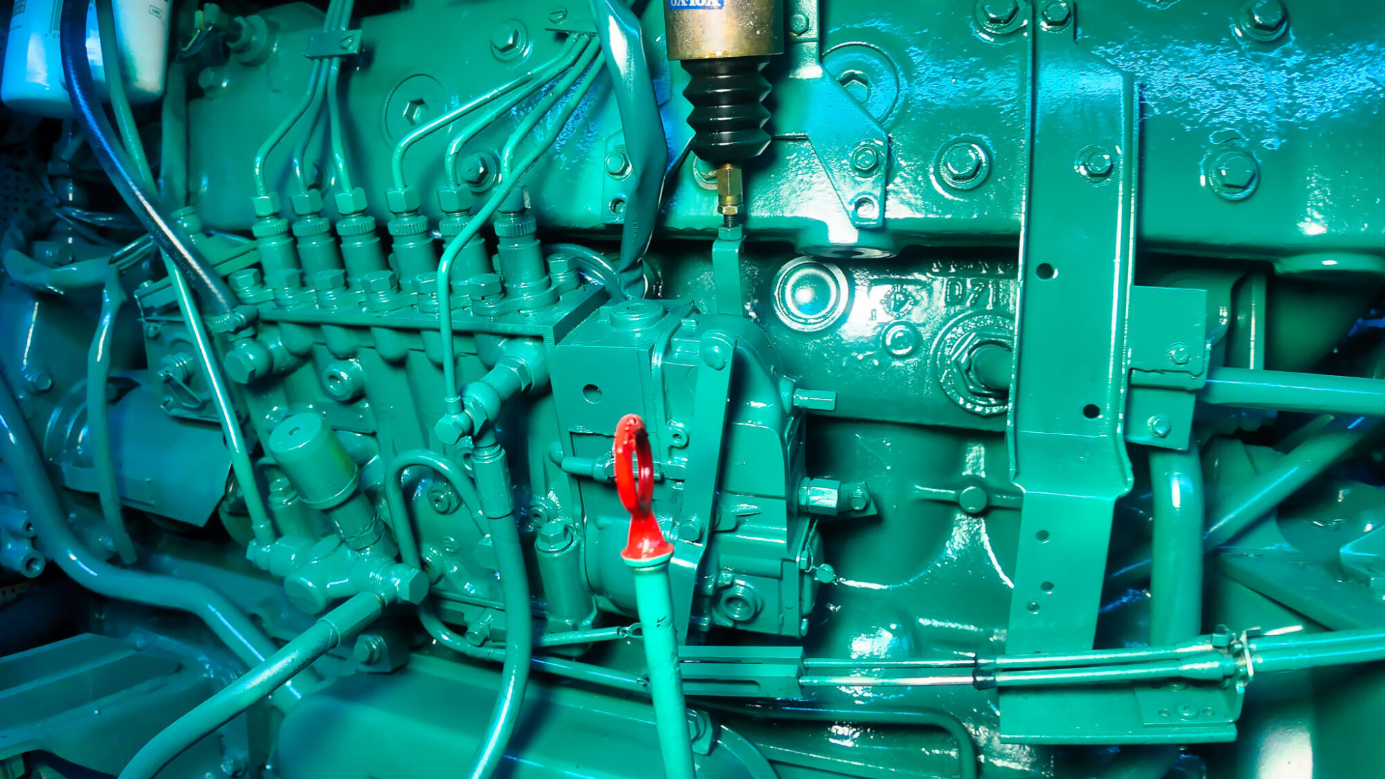 foto: 16 Neptunus Neptunus 138 / 46 Flybridge Sedan