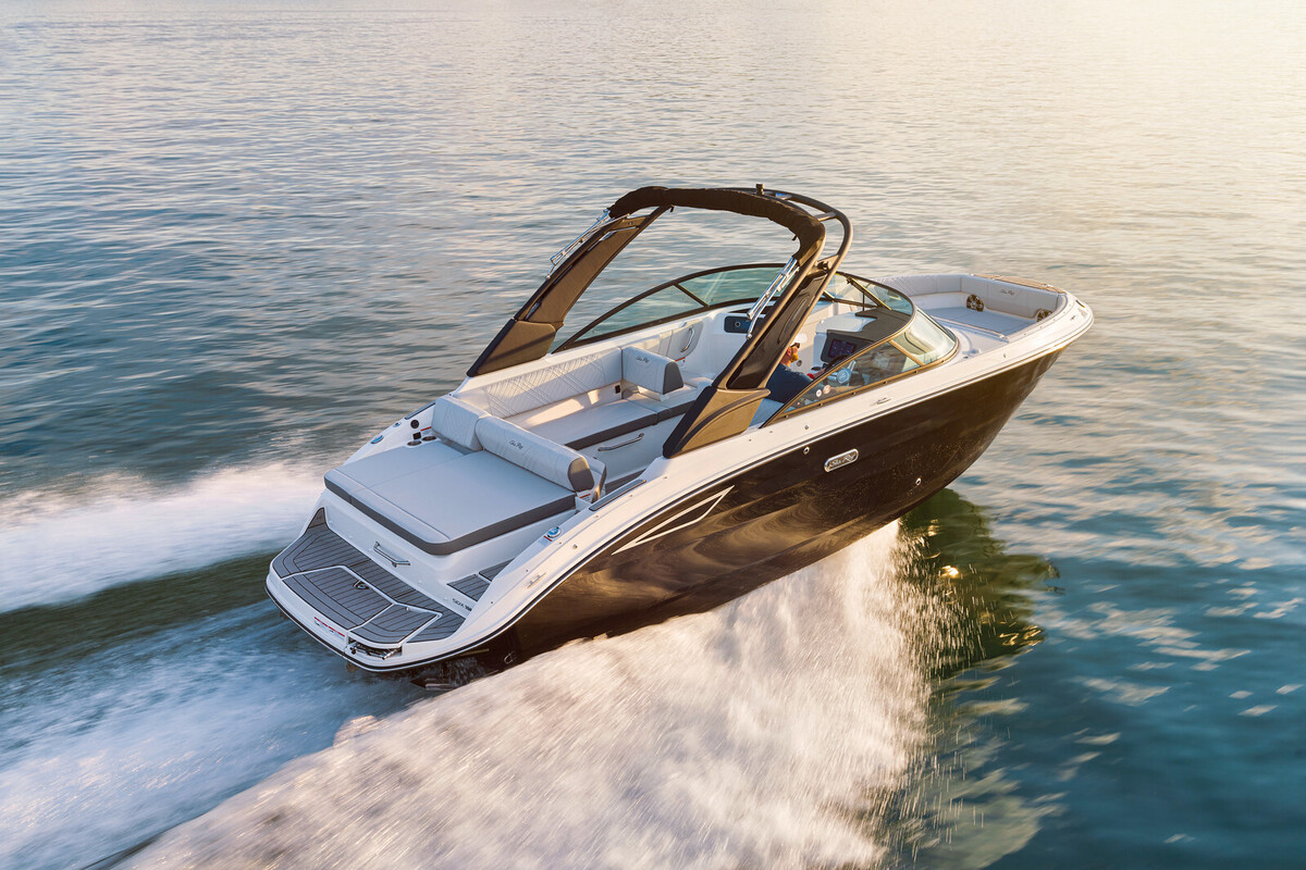 Sea Ray SDX 250  