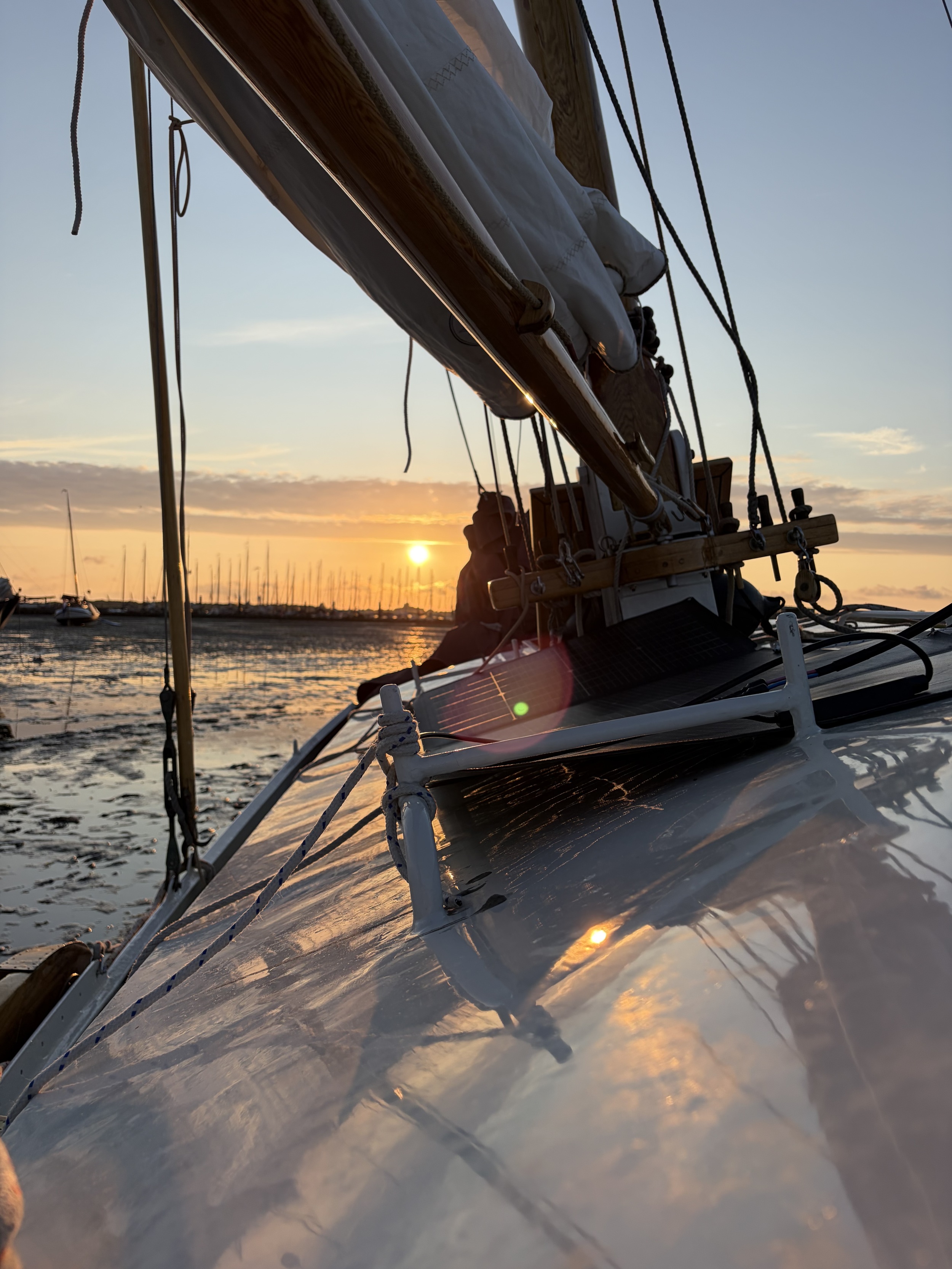foto: 20 Zeeschouw Boomsma 8.50