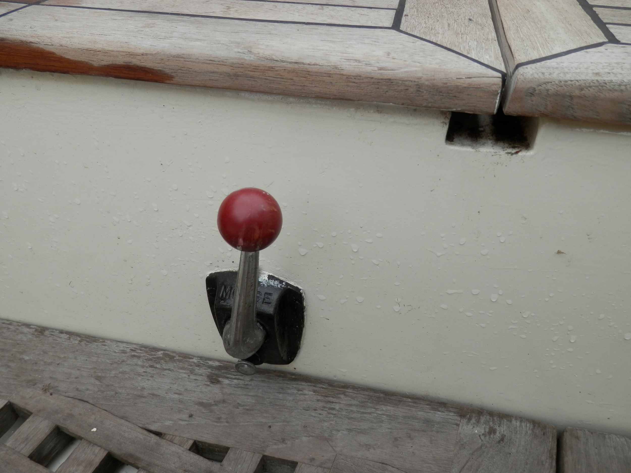 foto: 27 Danish Rose 31