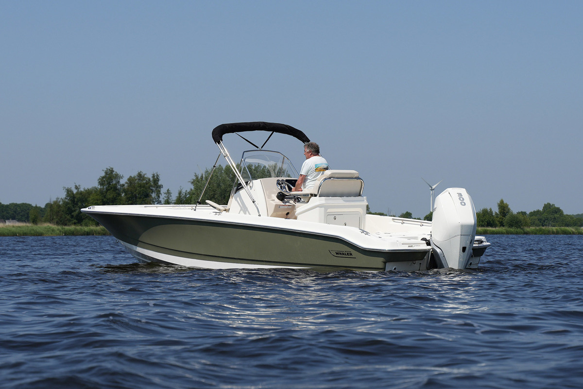 foto: 25 Boston Whaler 250 Dauntless